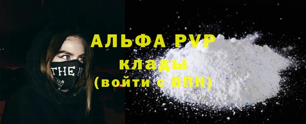 PSILOCYBIN Иннополис